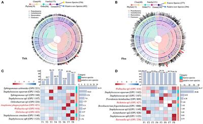 Species-level microbiota of ticks and fleas from Marmota himalayana in the Qinghai-Tibet Plateau